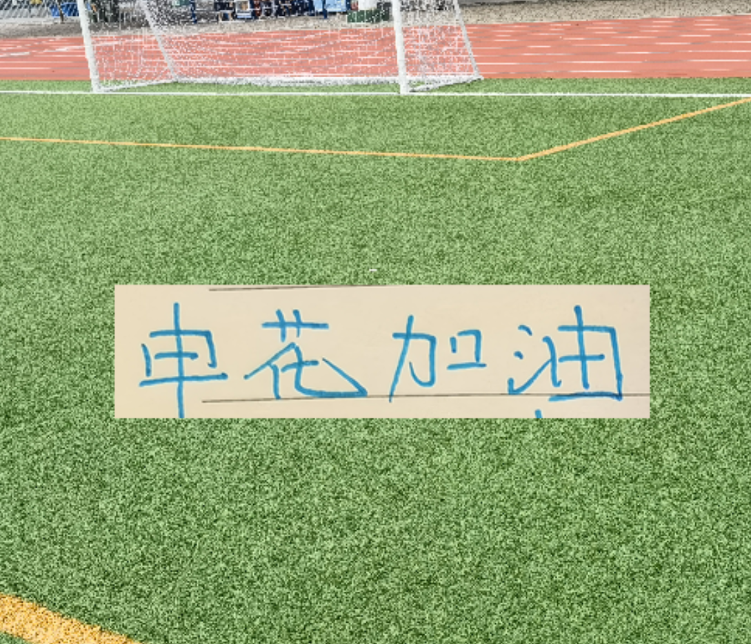 华体会官方网-申花越连胜 球迷越喊 可惜！ 特别是重庆被阻击后 无人拦领头羊
